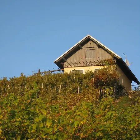 Zidanica Oplenk * Sentrupert (Dolenjska)