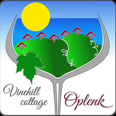펜션 Zidanica Oplenk *